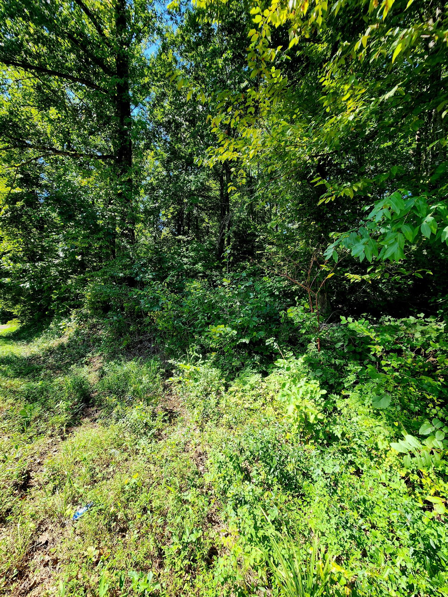 0 Old State Highway 28, Unit 28 Dunlap, TN 37327 - Photo 32 of 49 20250826_103921