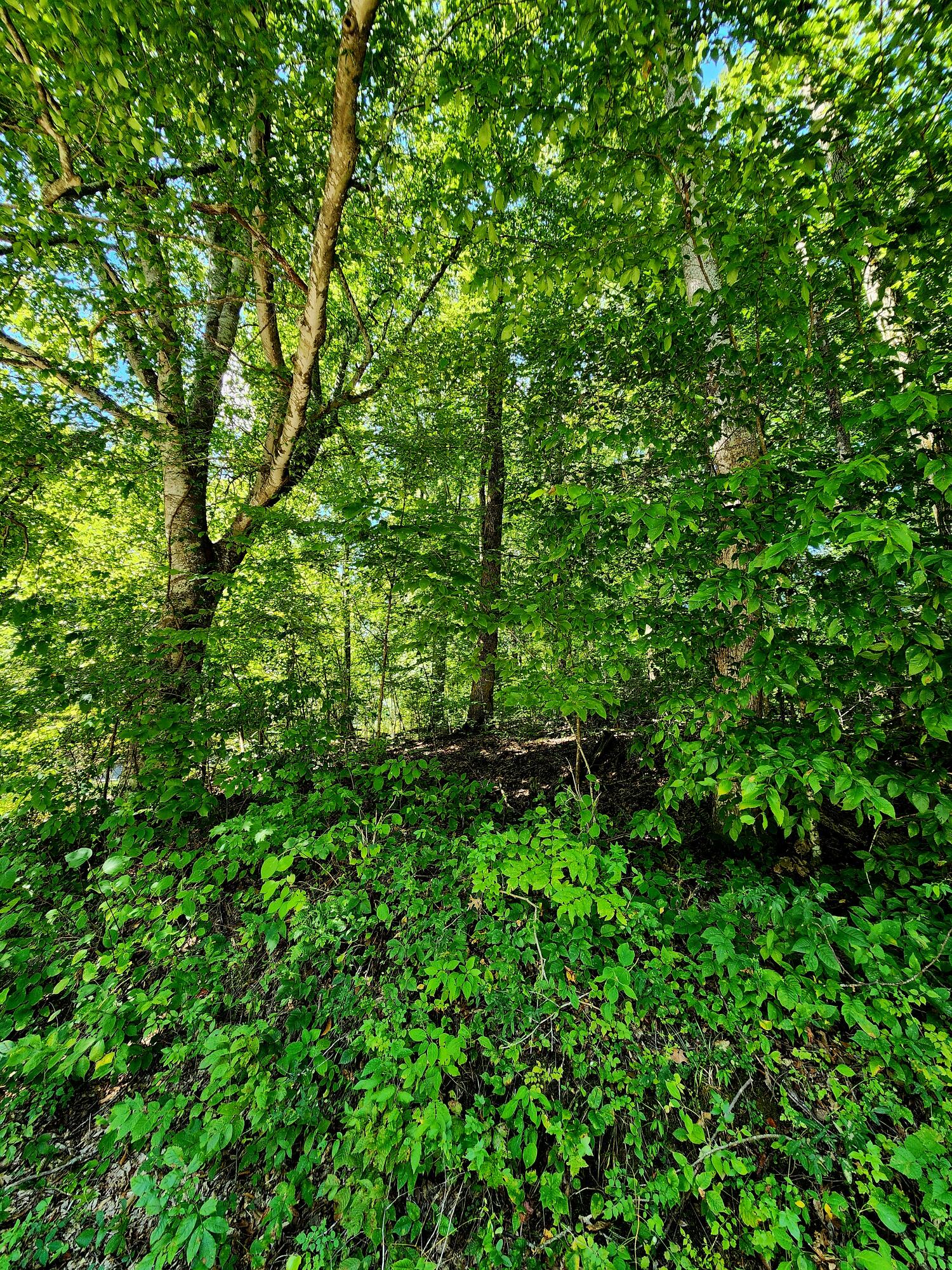 0 Old State Highway 28, Unit 28 Dunlap, TN 37327 - Photo 34 of 49 20250826_103949