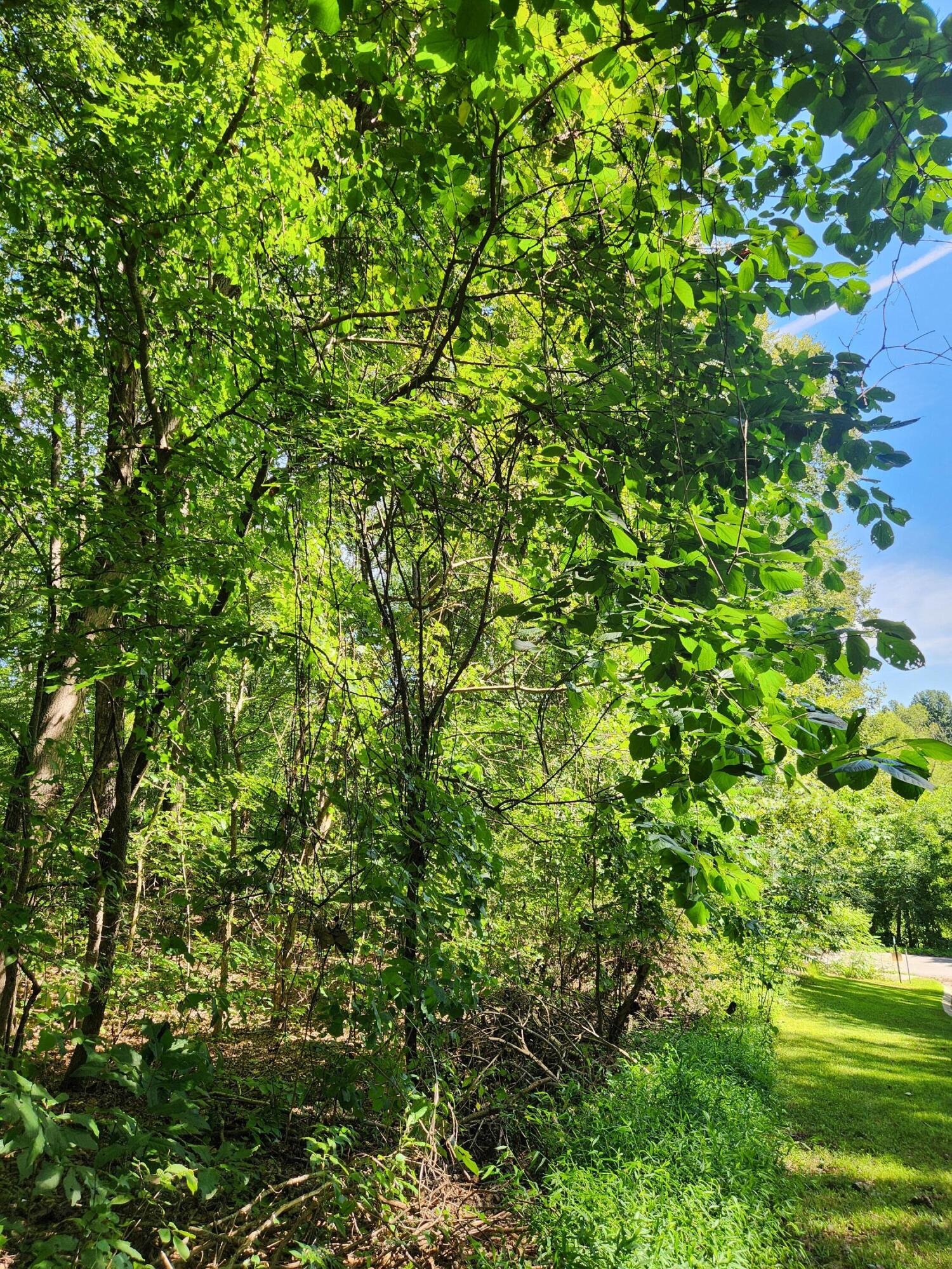 0 Old State Highway 28, Unit 28 Dunlap, TN 37327 - Photo 4 of 49 20250826_102143