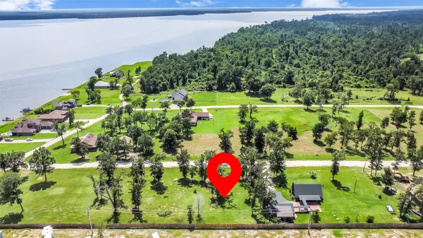 a view of a tree with a yard