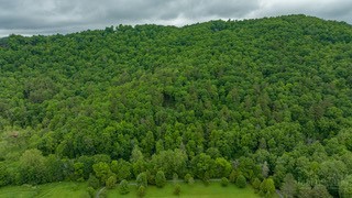 6 Walnut Ridge Road Vilas, NC 28692 - Photo 10 of 12 a view of a lush green forest