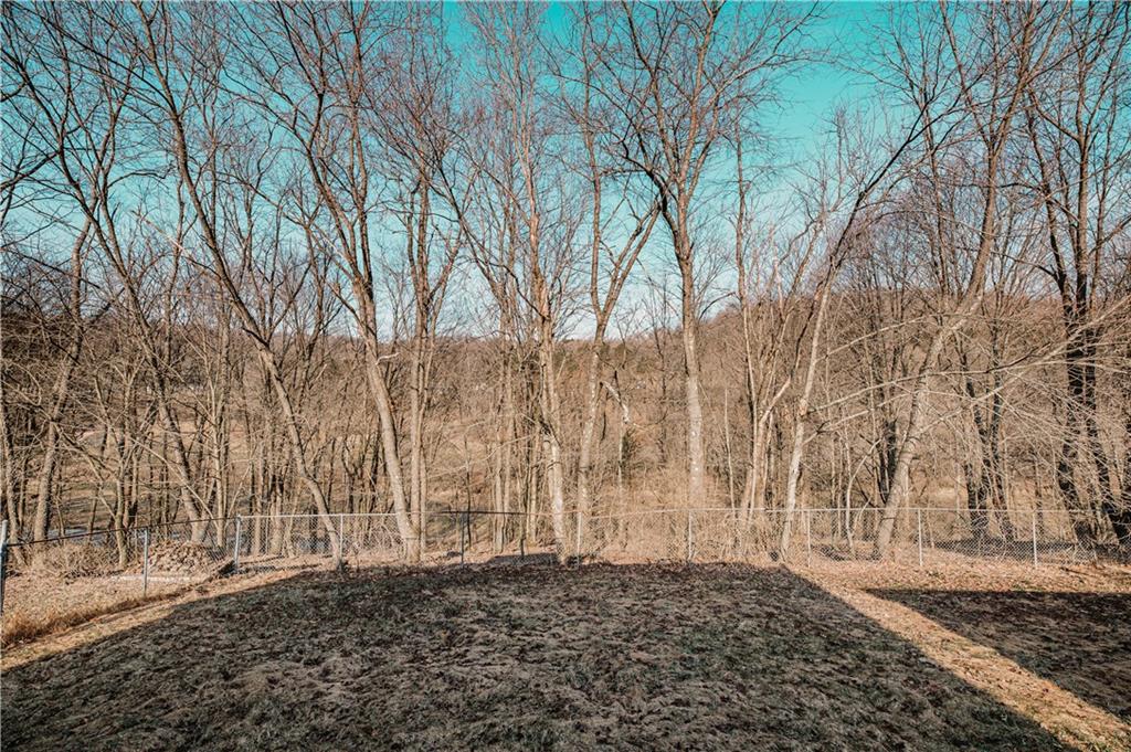 684 North Ridge Road Shelocta, PA 15774 - Photo 6 of 25 a view of a yard with trees