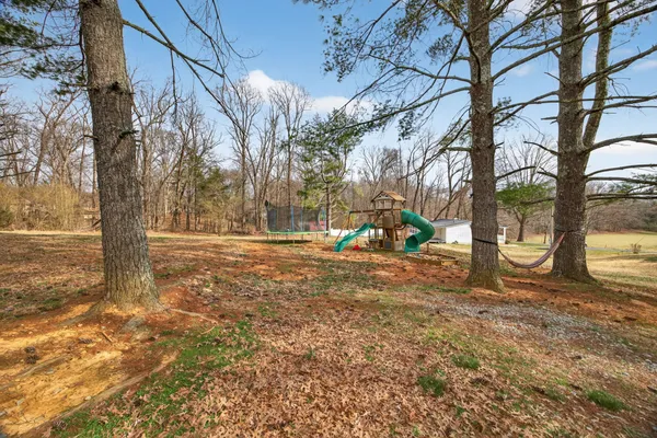 a view of yard with tree