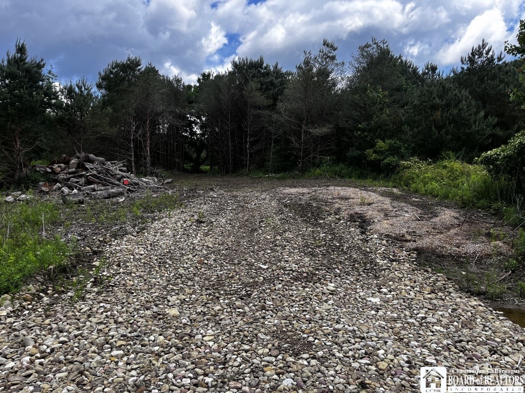 2364 Five Mile Road Allegany, NY 14706 - Photo 15 of 15