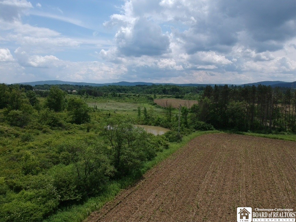 2364 Five Mile Road Allegany, NY 14706 - Photo 10 of 15