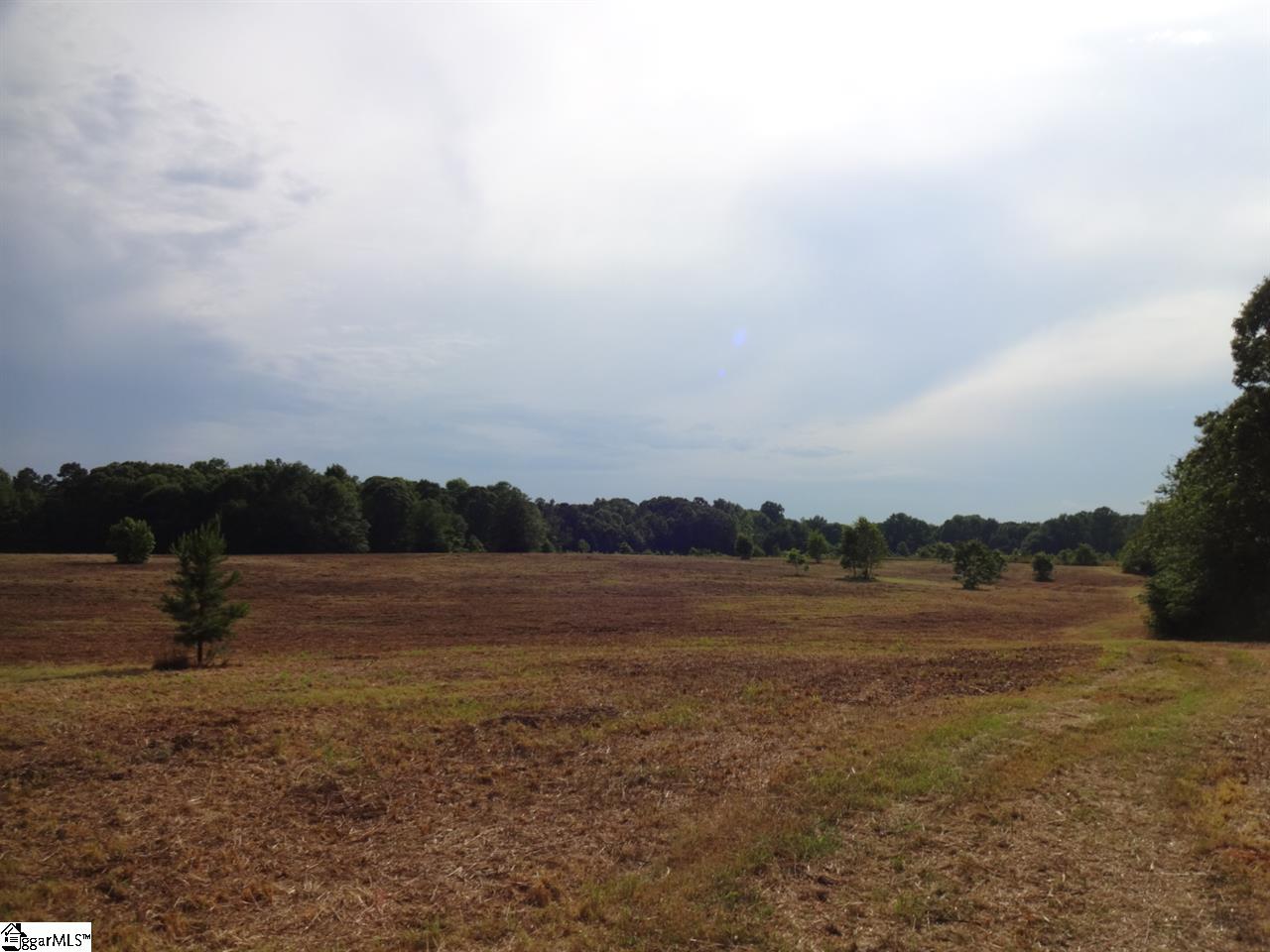 0 Canty Road Pelzer, SC 29669 - Photo 8 of 20