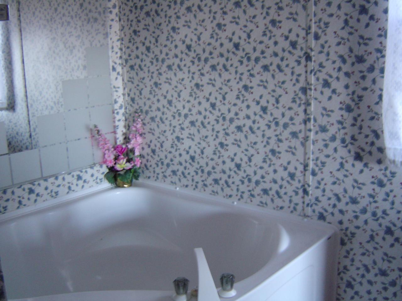 4141 Mountain View Church Road Blue Ridge, VA 24064 - Photo 11 of 13 a bath tub sitting in a bathroom