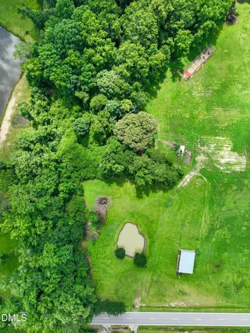 a green field with lots of bushes