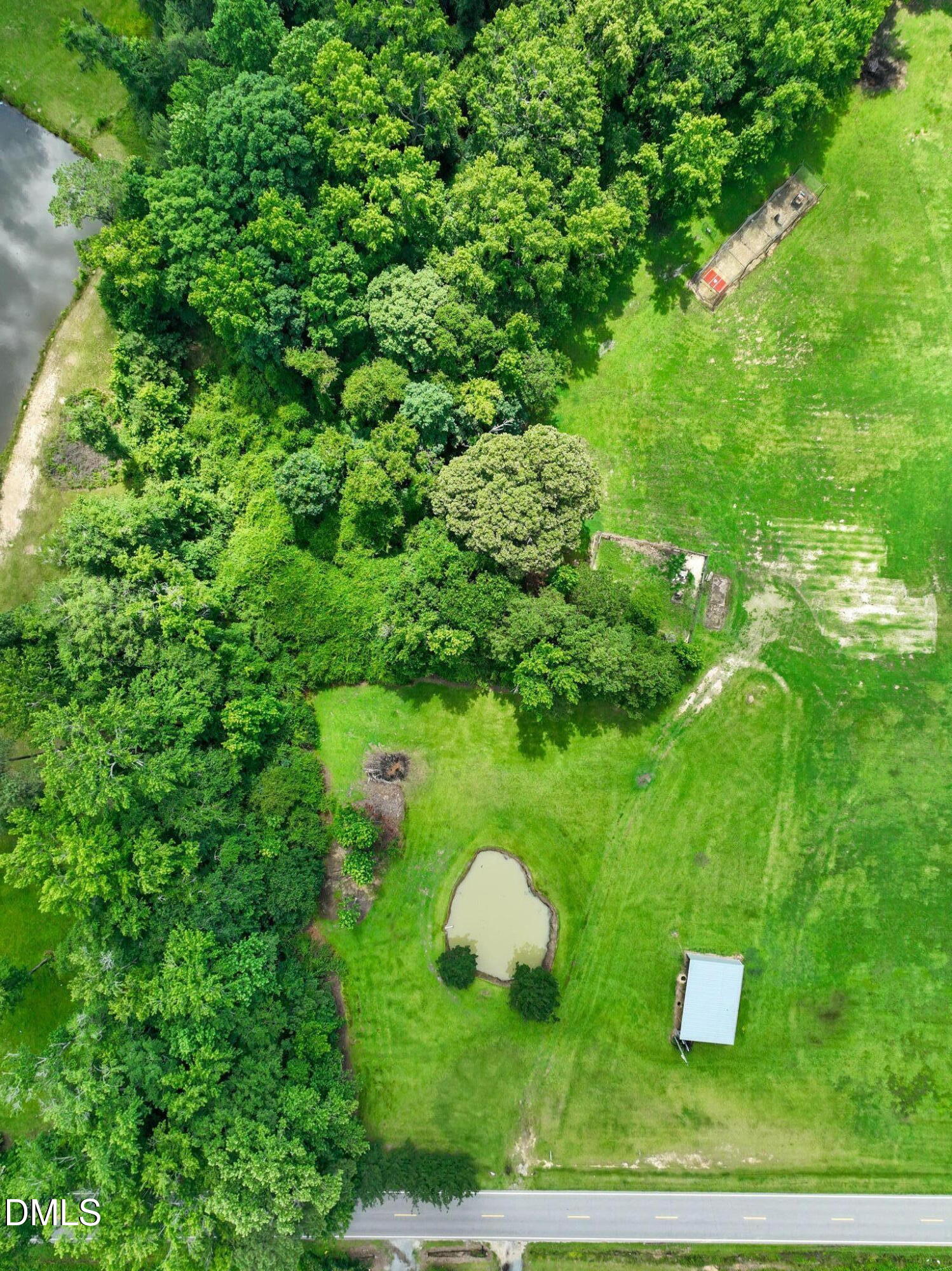 a green field with lots of bushes