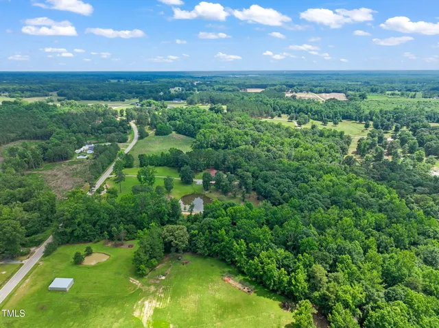 a view of a lush green forest