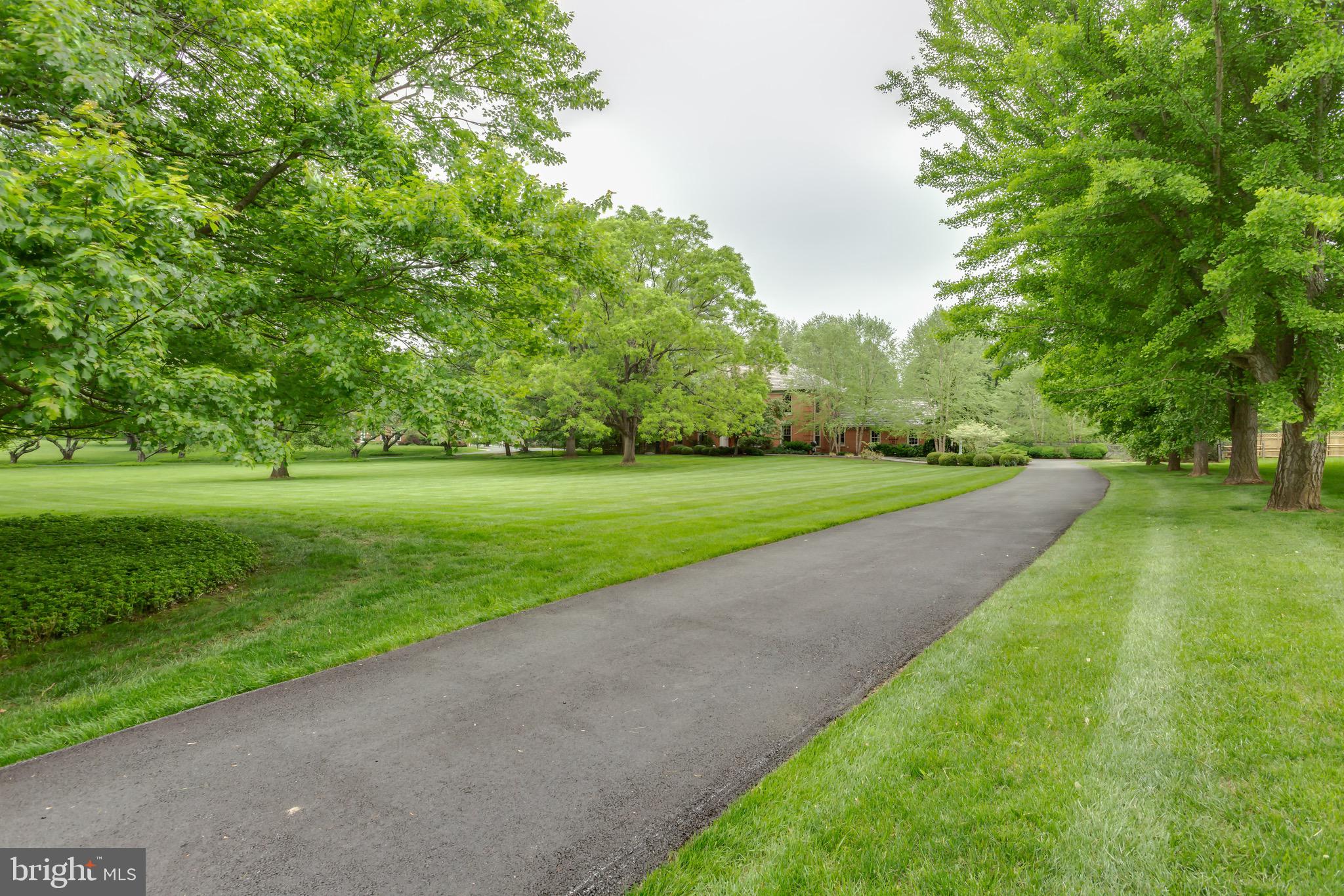 12400 Beall Spring Road Potomac, MD 20854 - Photo 49 of 49 Driveway