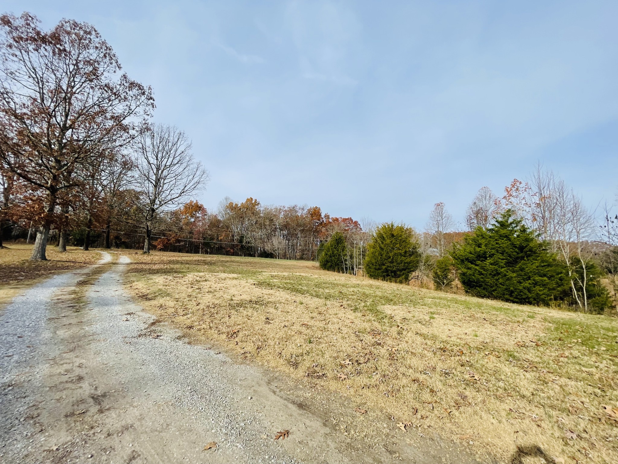 126 Sycamore Road Dickson, TN 37055 - Photo 3 of 39 Gallery Image 3