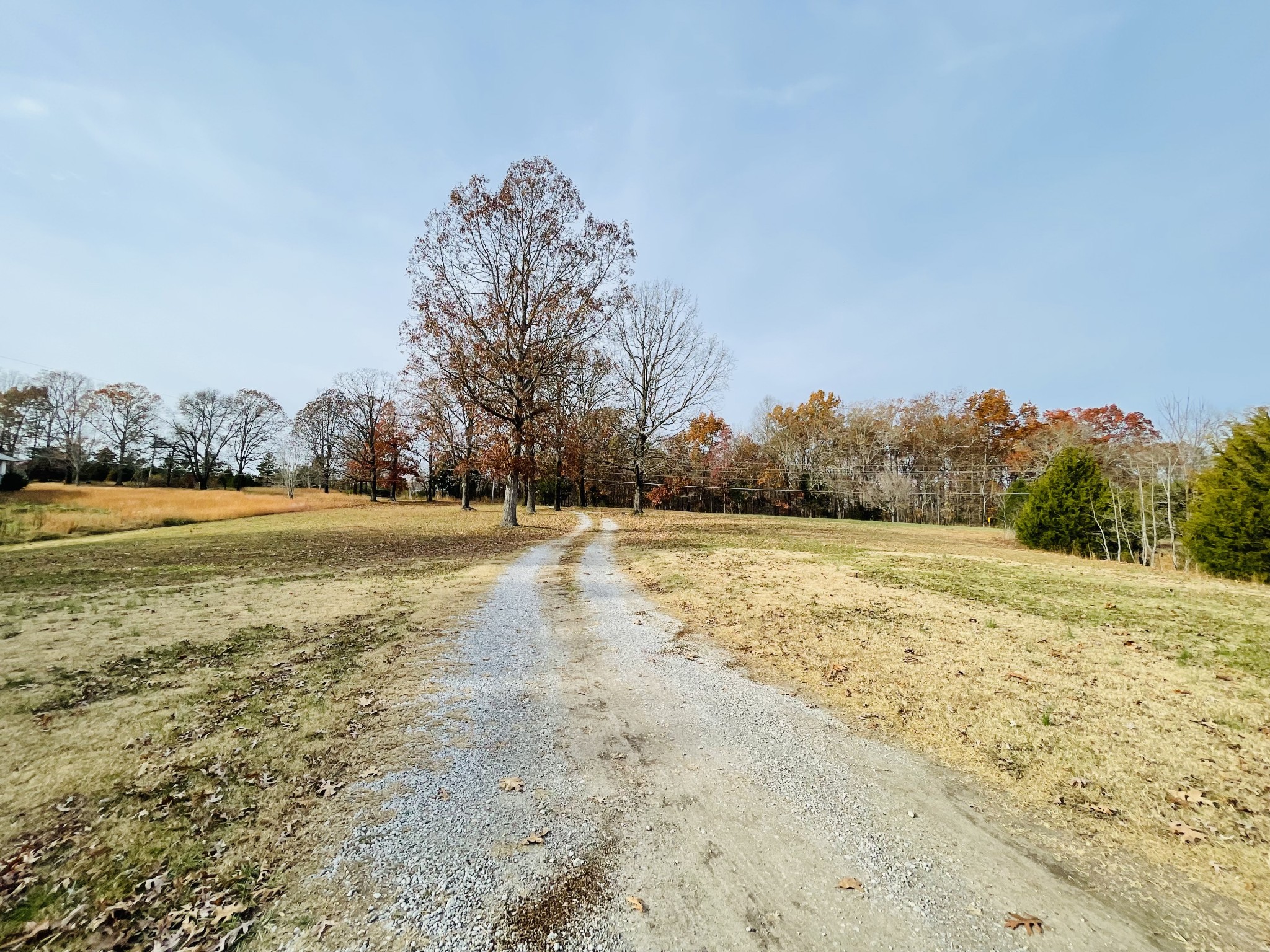 126 Sycamore Road Dickson, TN 37055 - Photo 4 of 39 Gallery Image 4