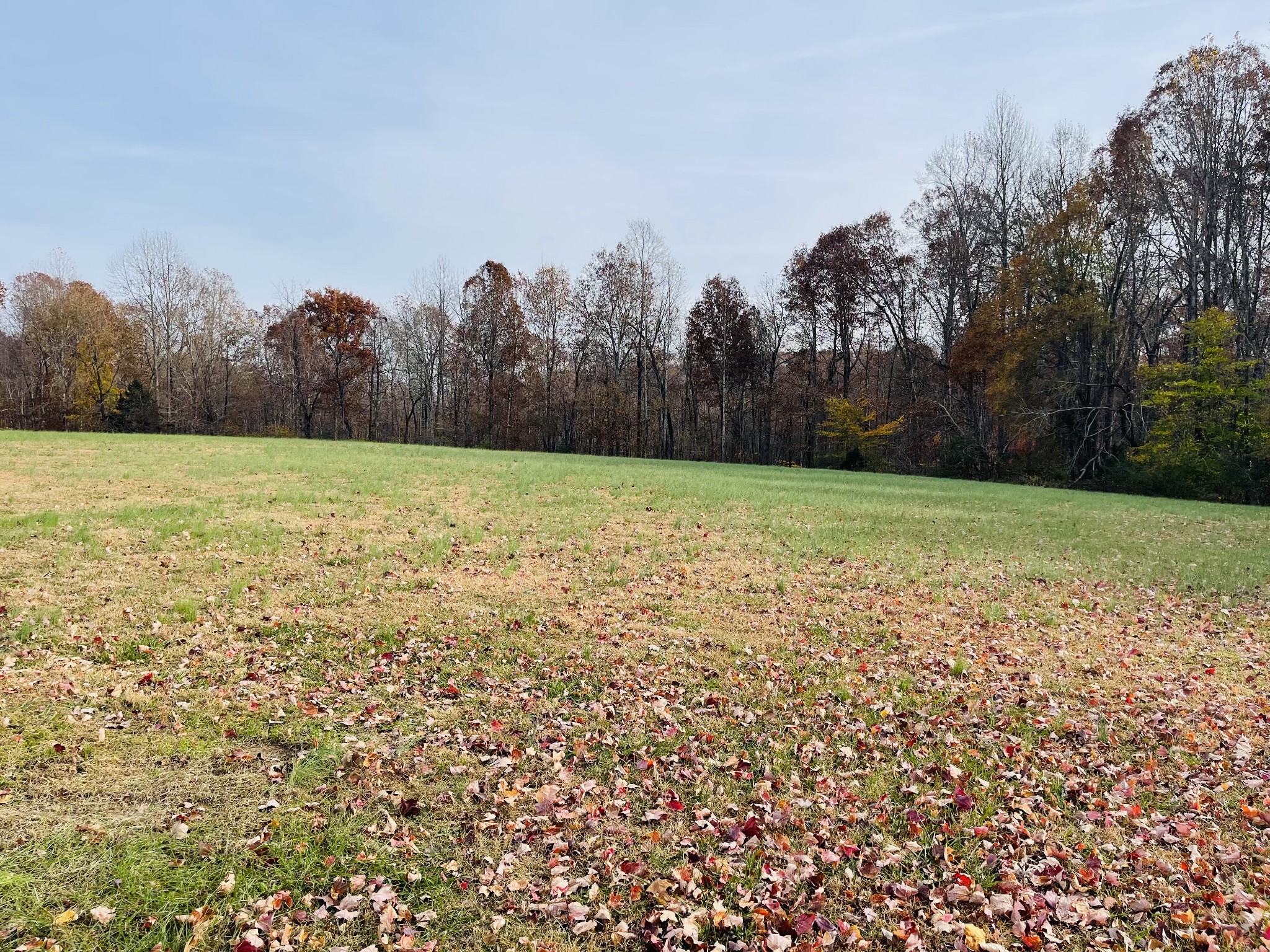 126 Sycamore Road Dickson, TN 37055 - Photo 10 of 39 Gallery Image 10