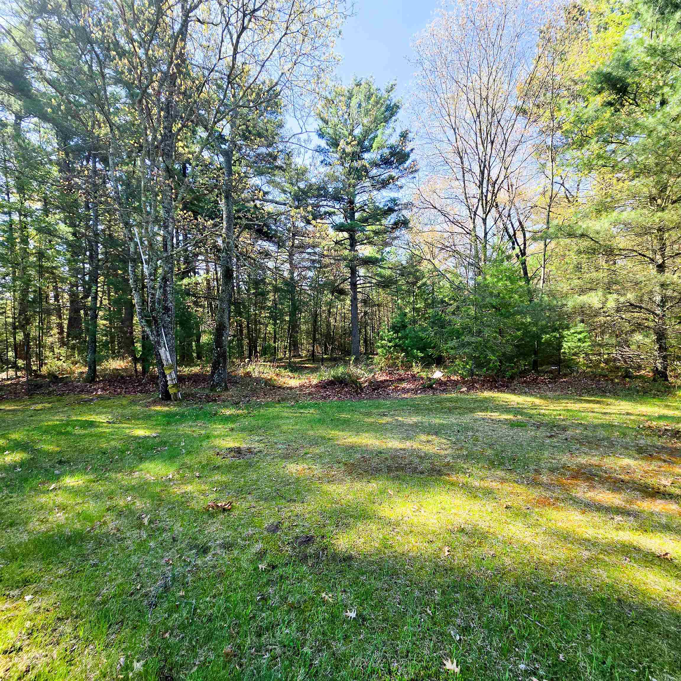 4710 MacKenzie Road Oscoda, MI 48750 - Photo 4 of 26