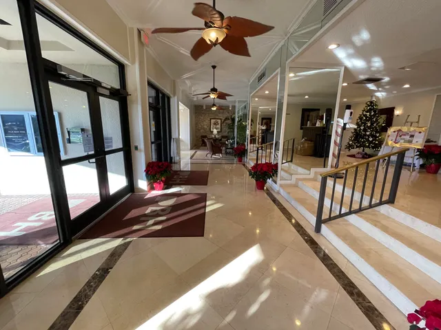 a living room with furniture and a christmas tree