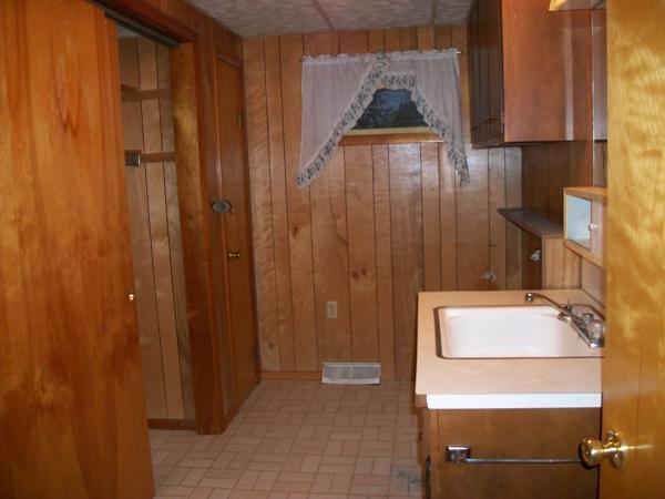 749 Lyons Road Portland, MI 48875 - Photo 3 of 12 Additional Photo