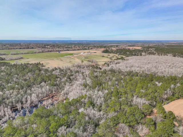 a view of an ocean and beach
