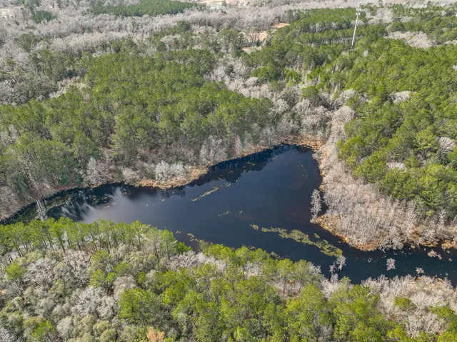 an aerial view of lake residential house with swimming pool and trees in the background