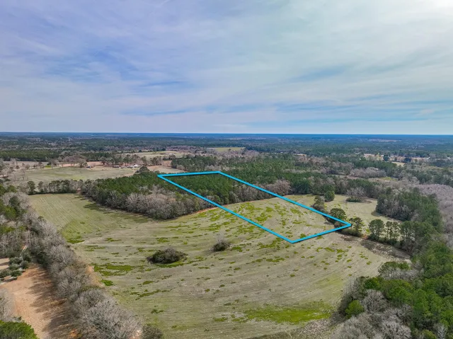 a view of a dry yard with wooden fence