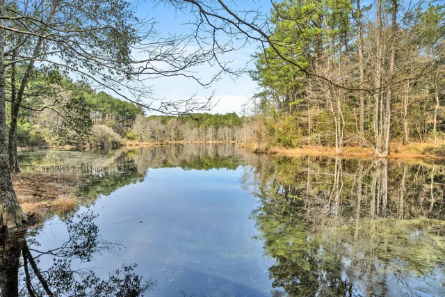 a view of lake view with large trees