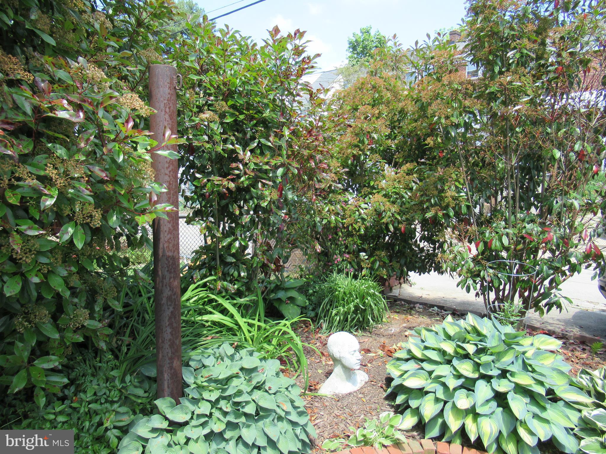 226 Ridge Avenue Towson, MD 21286 - Photo 25 of 32 Backyard plantings