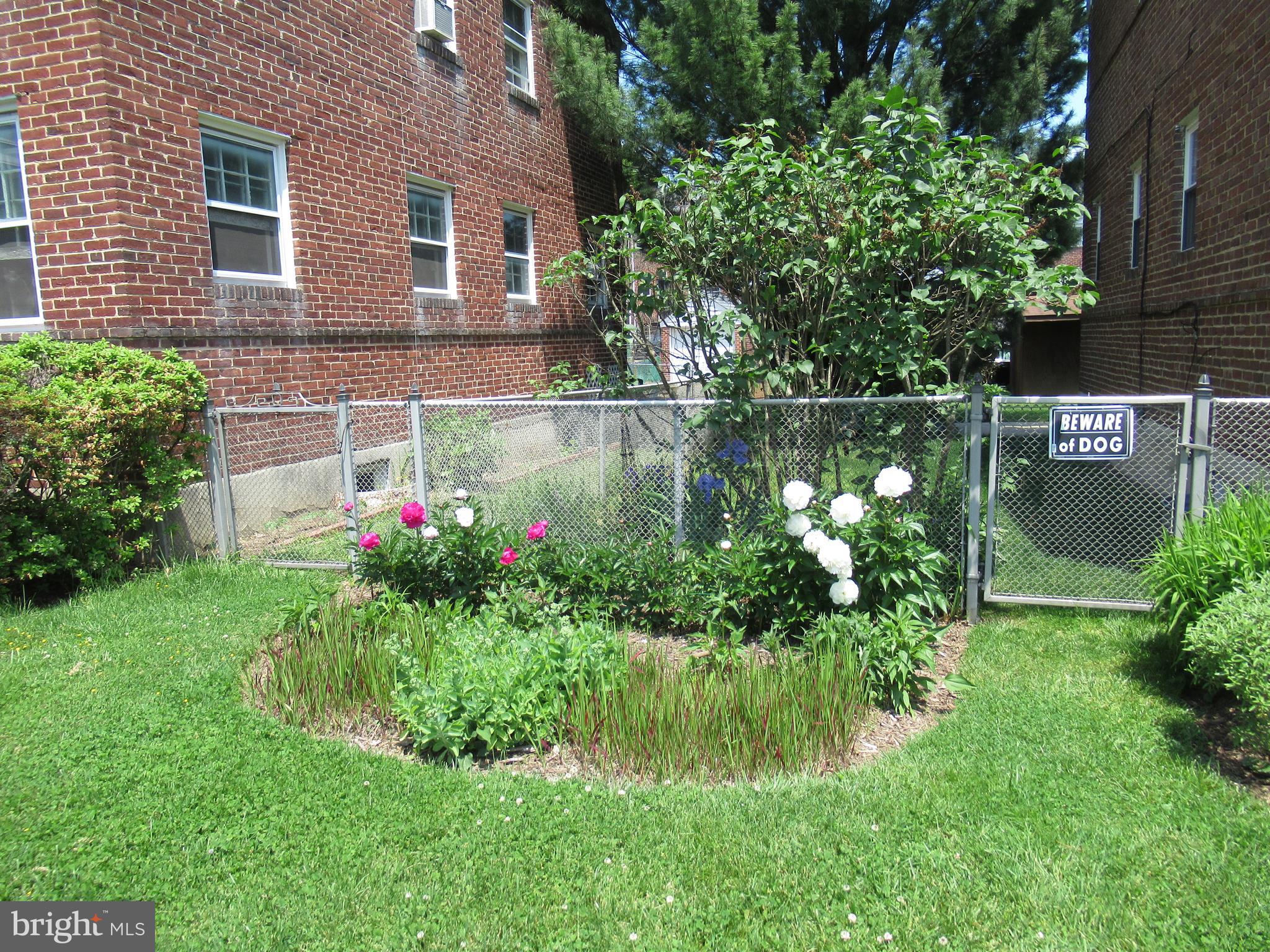 226 Ridge Avenue Towson, MD 21286 - Photo 31 of 32 Front yard plantings