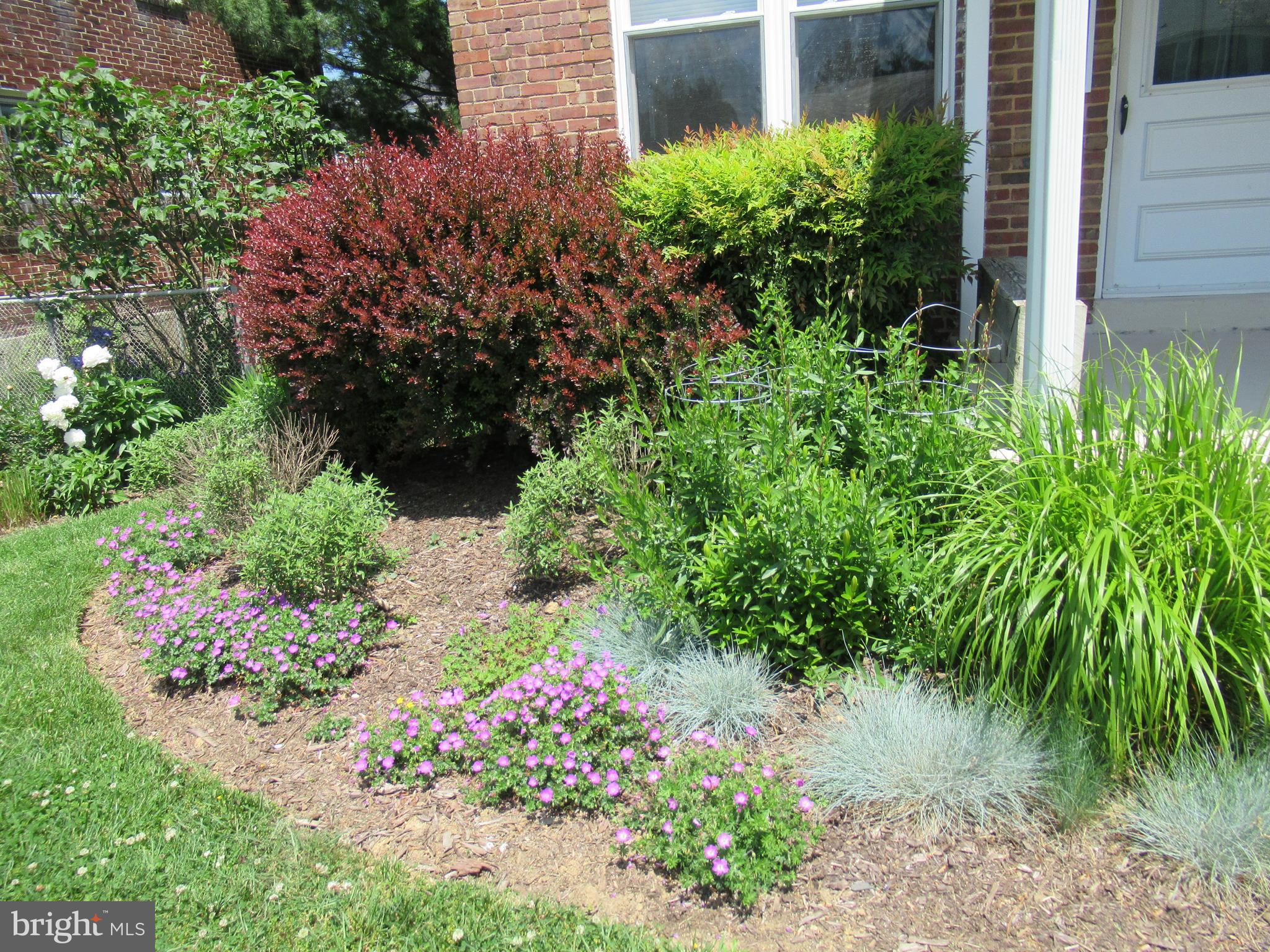 226 Ridge Avenue Towson, MD 21286 - Photo 32 of 32 More plantings