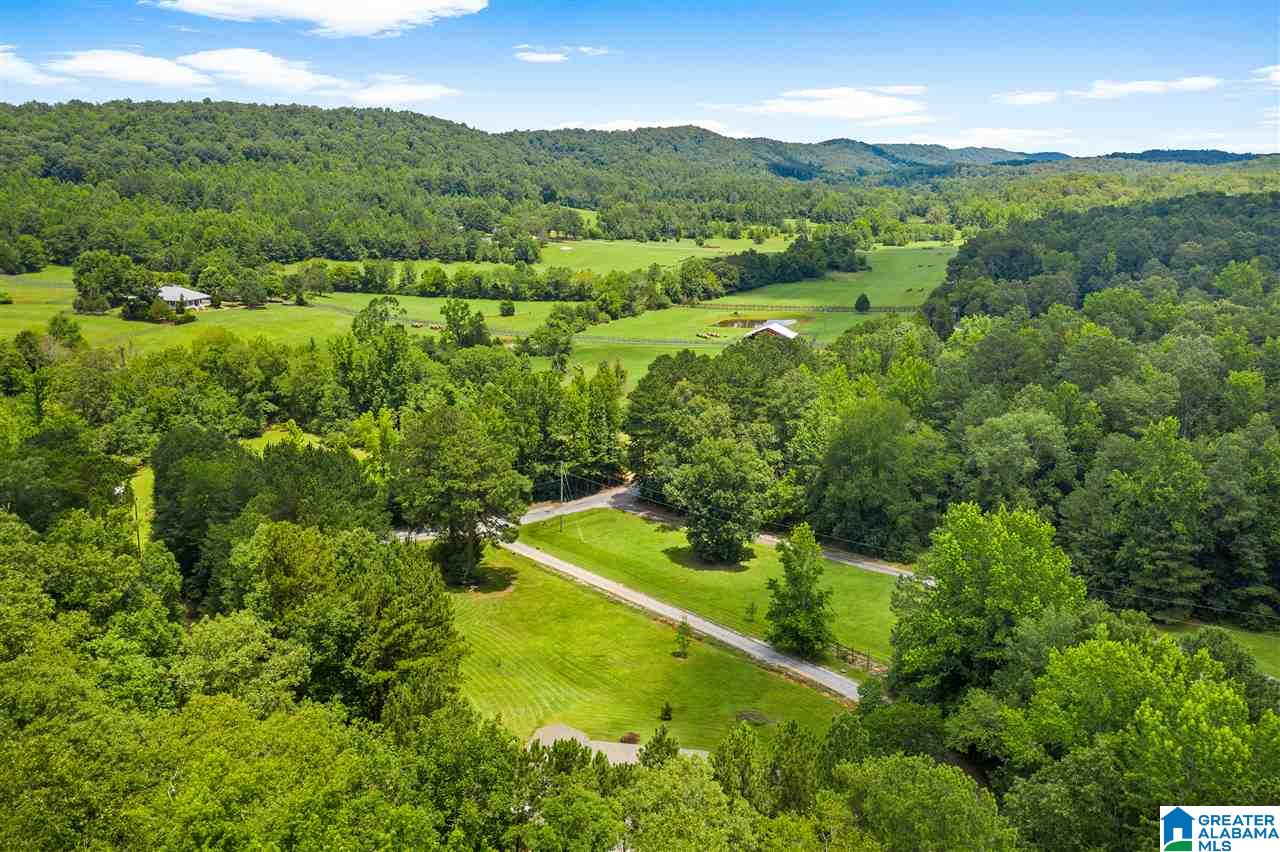 2098 Red Valley Road Remlap, AL 35133 - Photo 46 of 47