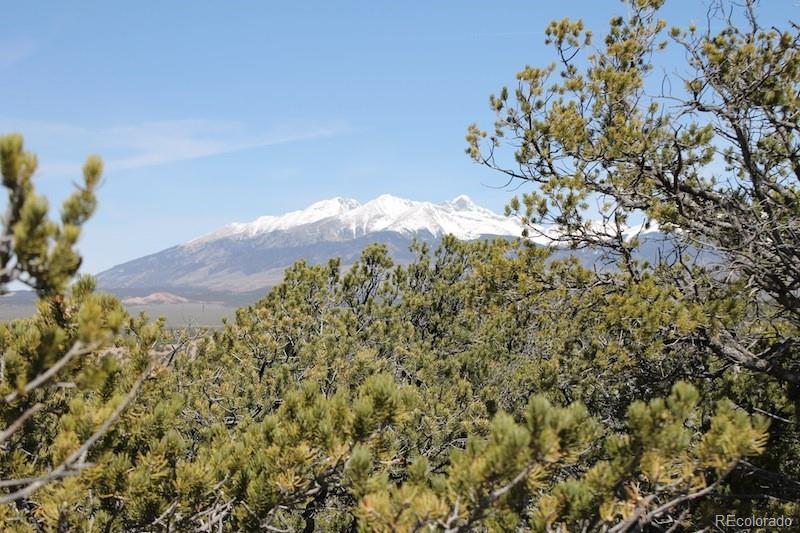 6521 Forbes Road San Luis, CO 81152 - Photo 7 of 12 a view of a yard