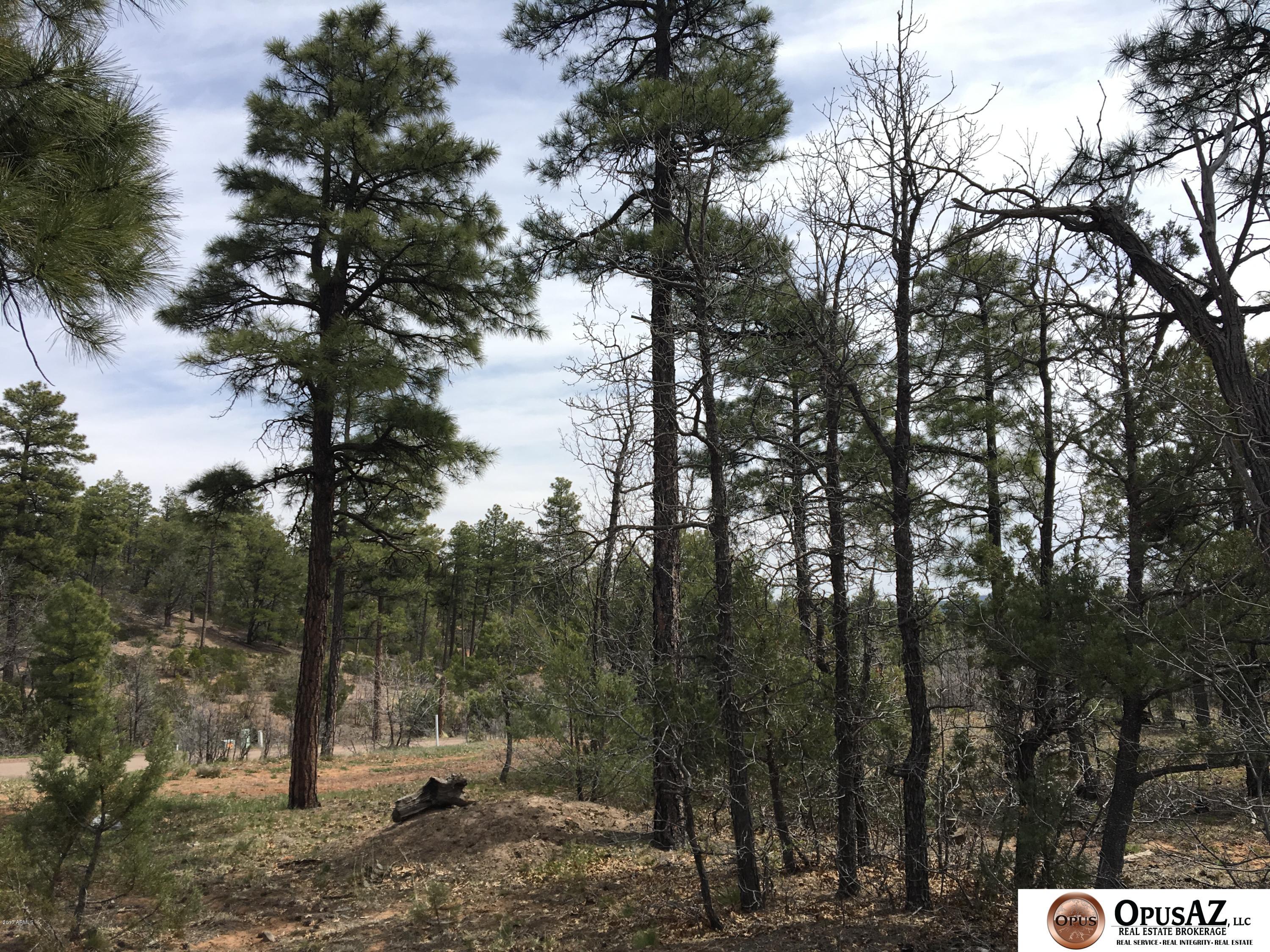 6012 Rim Road, Unit 126 Lakeside, AZ 85929 - Photo 1 of 8 Starlight Ridge Estates Lot 126