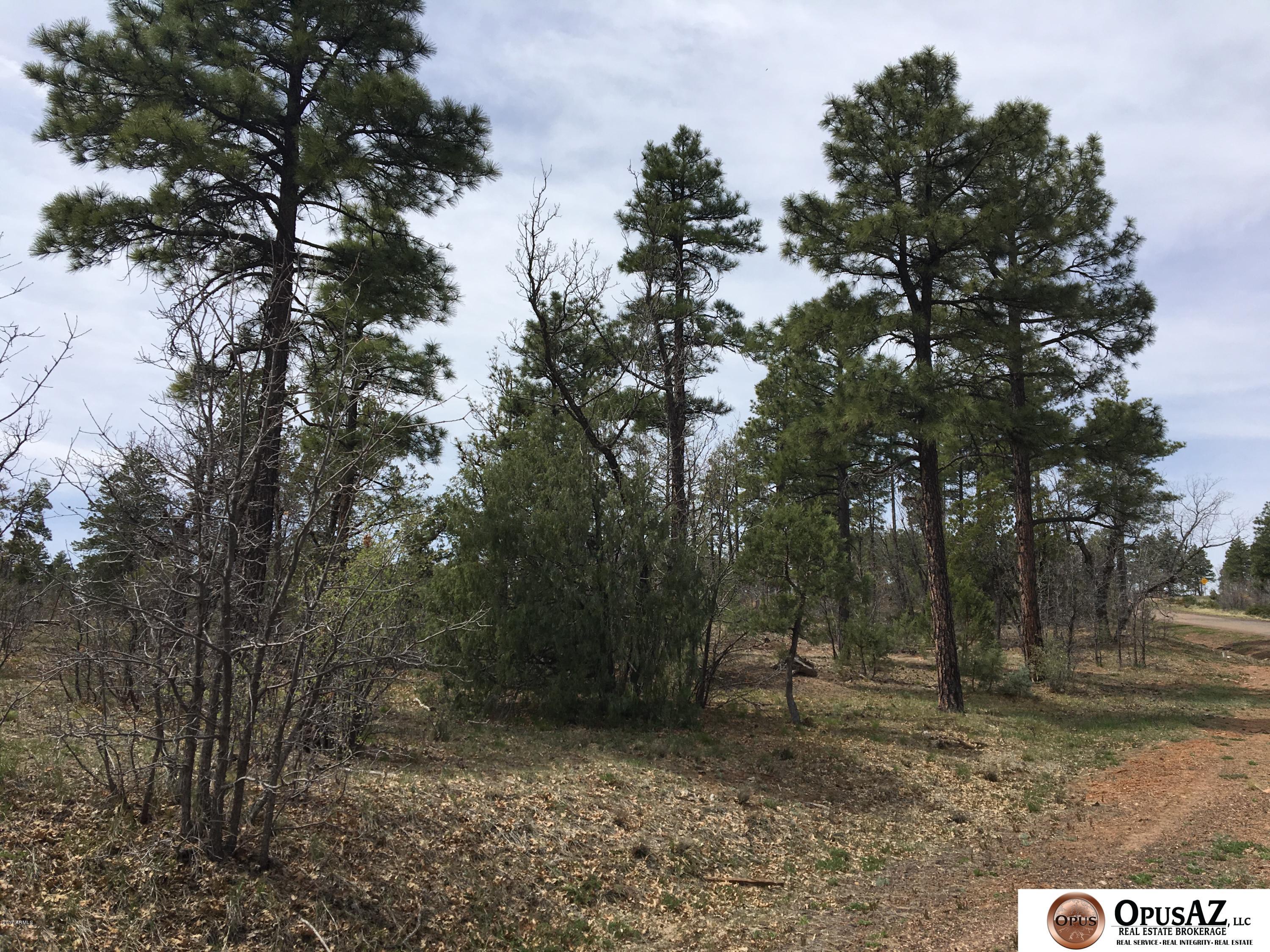 6012 Rim Road, Unit 126 Lakeside, AZ 85929 - Photo 2 of 8 Starlight Ridge Estates Lot 126