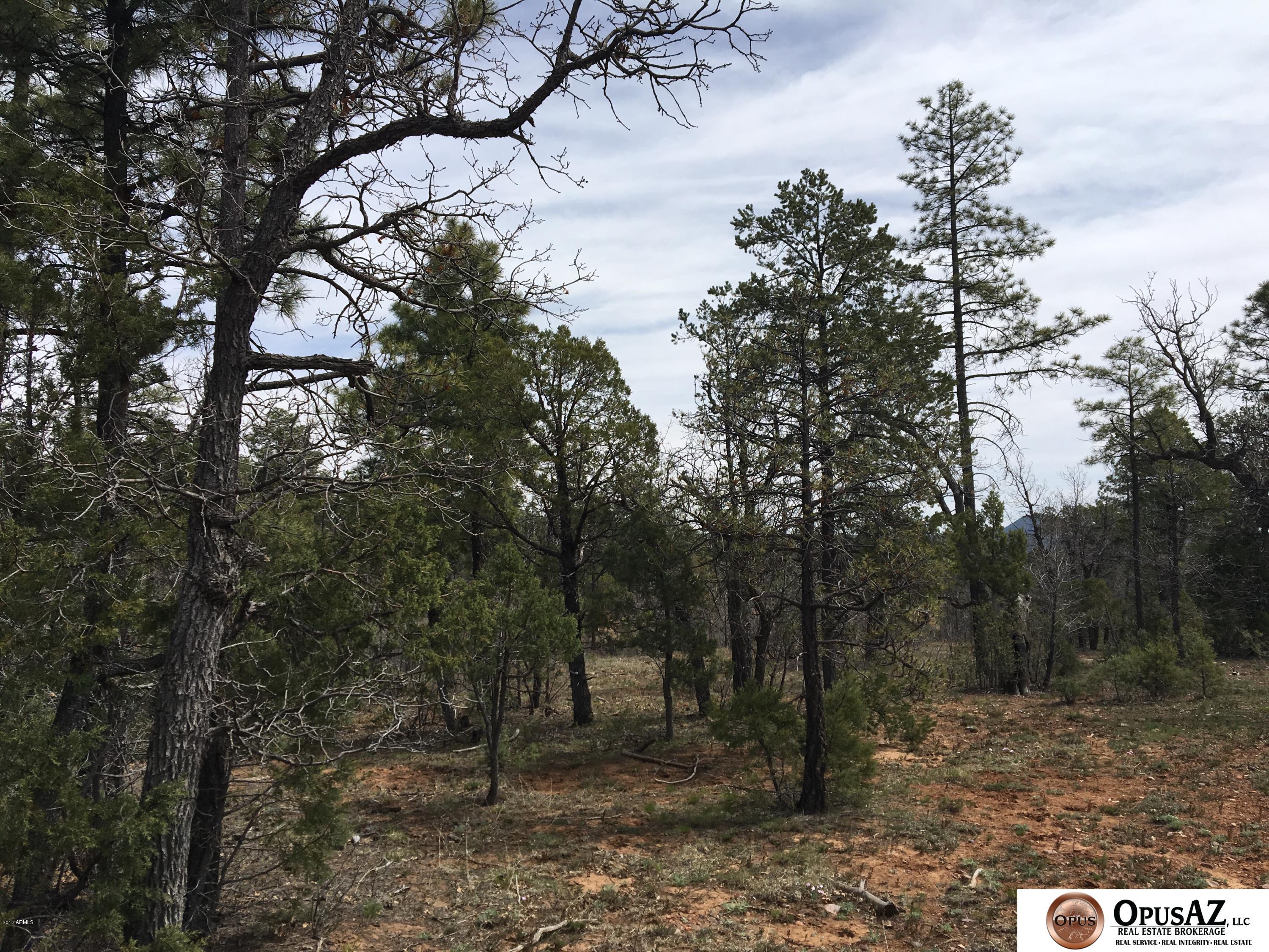 6012 Rim Road, Unit 126 Lakeside, AZ 85929 - Photo 3 of 8 Starlight Ridge Estates Lot 126