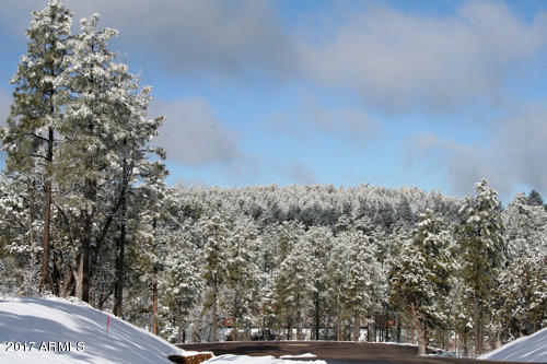 6012 Rim Road, Unit 126 Lakeside, AZ 85929 - Photo 5 of 8 Starlight Ridge Estates in Winter