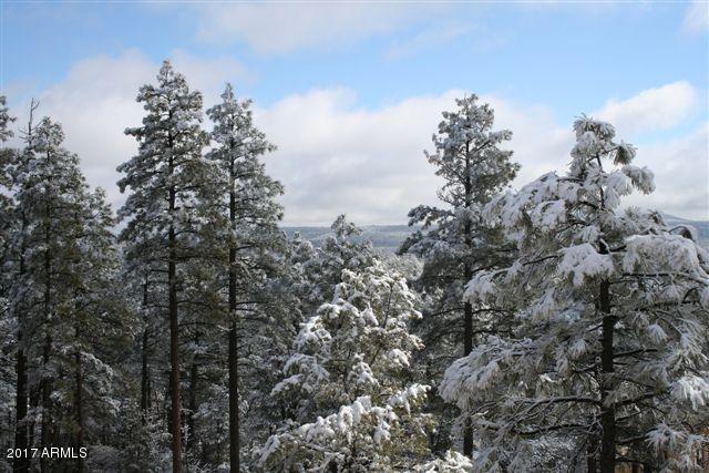 6012 Rim Road, Unit 126 Lakeside, AZ 85929 - Photo 6 of 8 Starlight Ridge Estates - Winter