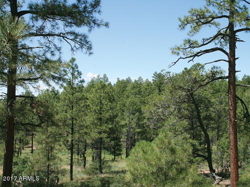 6012 Rim Road, Unit 126 Lakeside, AZ 85929 - Photo 7 of 8 Starlight Ridge Estates - Summer