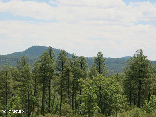 6012 Rim Road, Unit 126 Lakeside, AZ 85929 - Photo 8 of 8 Starlight Ridge Estates in Summer