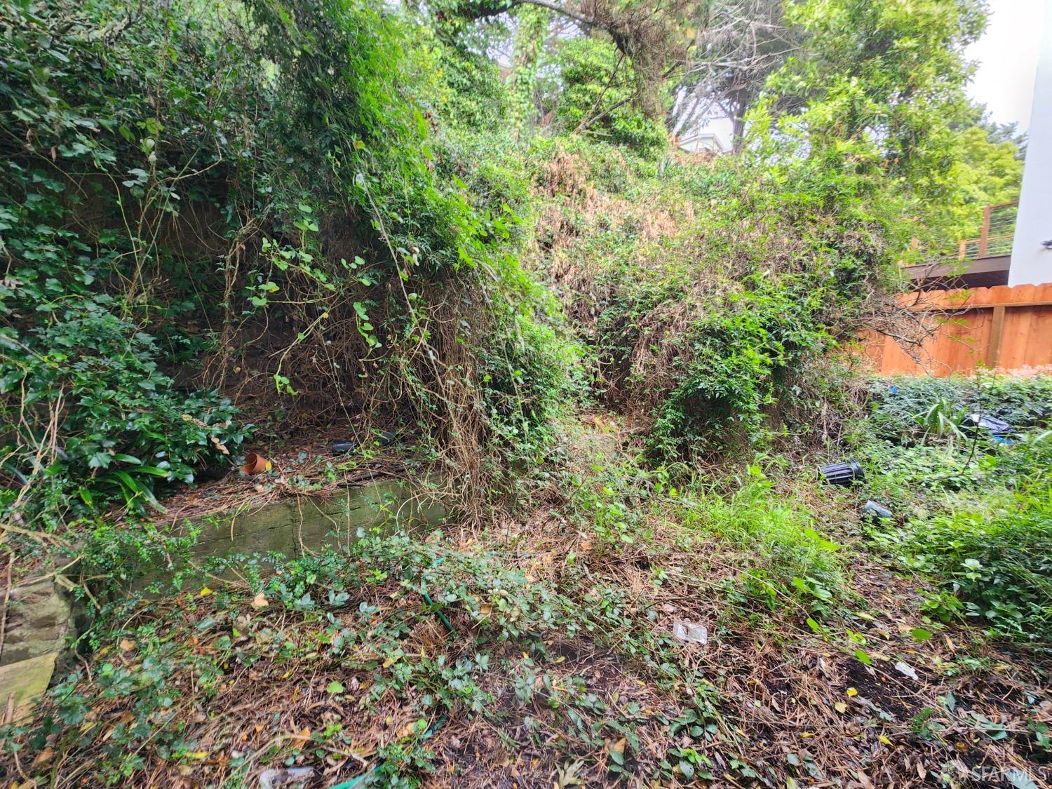9 Clairview Court San Francisco, CA 94131 - Photo 15 of 16 a plant view in yard