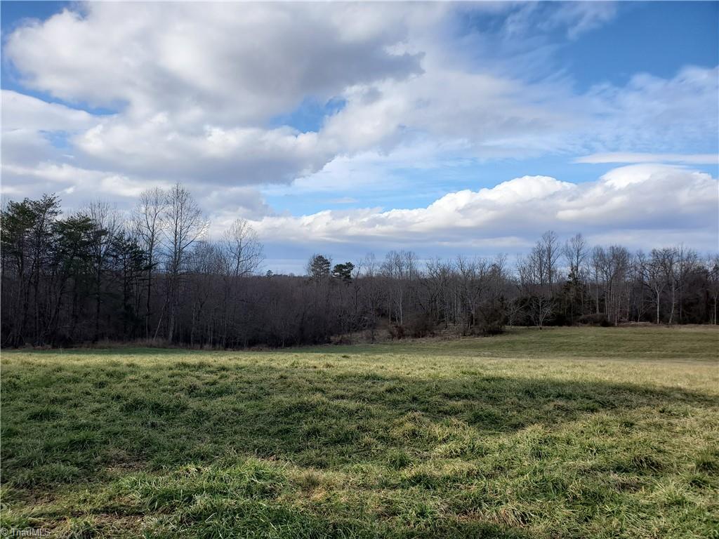 0 Eldora Road Ararat, NC 27007 - Photo 1 of 36 Gallery Image 1