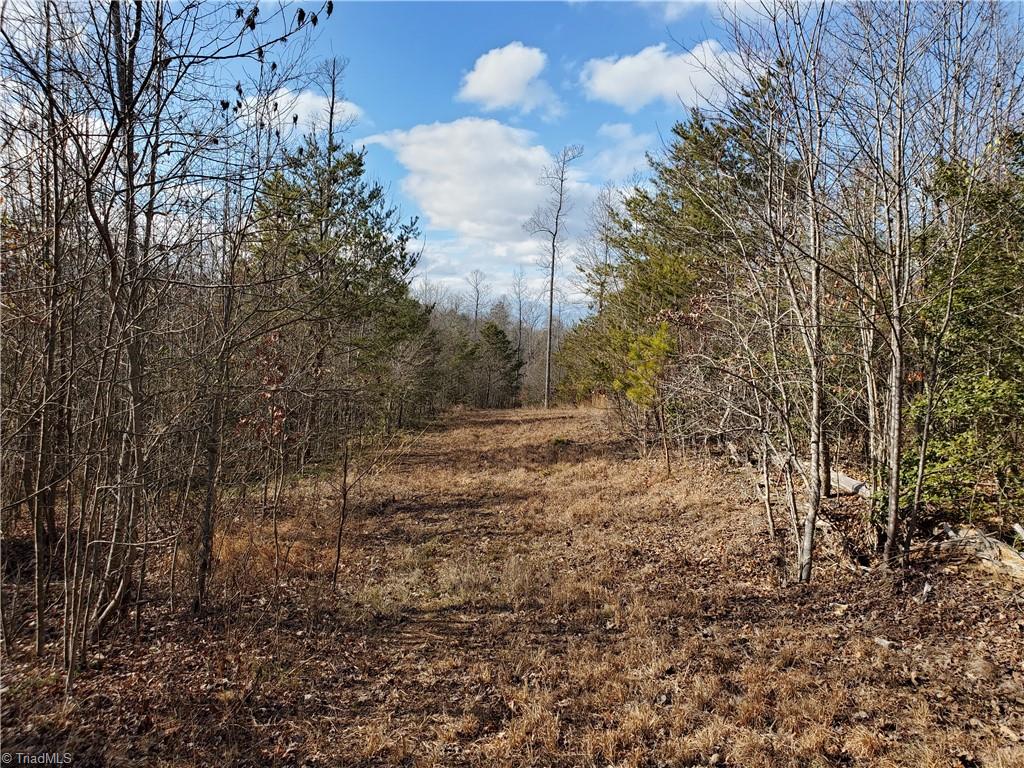 0 Eldora Road Ararat, NC 27007 - Photo 11 of 36 Gallery Image 11