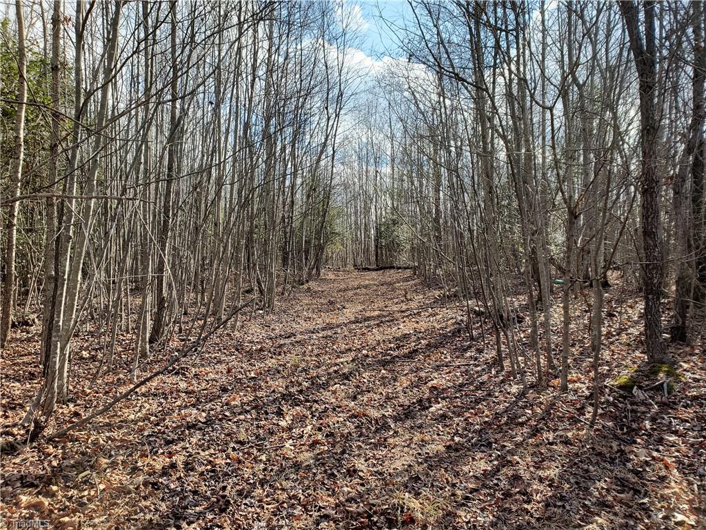 0 Eldora Road Ararat, NC 27007 - Photo 14 of 36 Gallery Image 14