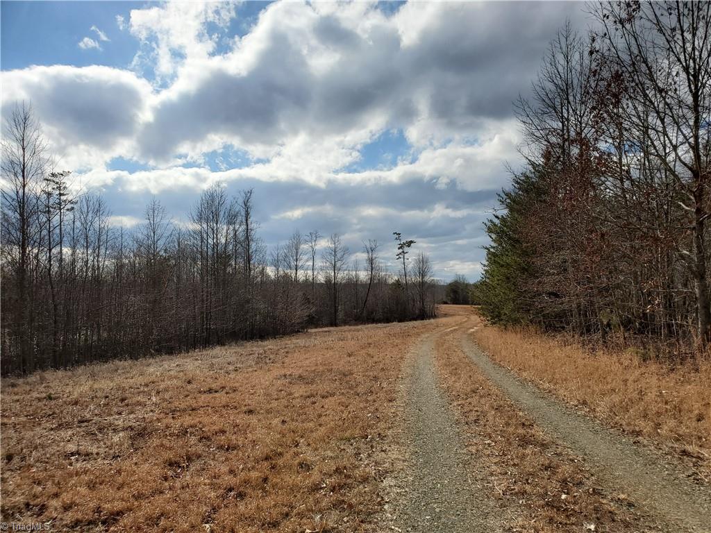 0 Eldora Road Ararat, NC 27007 - Photo 20 of 36 Gallery Image 20