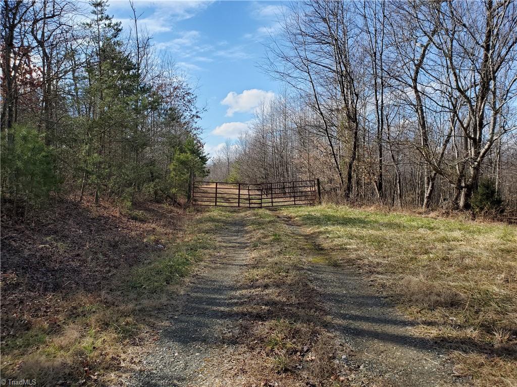 0 Eldora Road Ararat, NC 27007 - Photo 3 of 36 Gallery Image 3