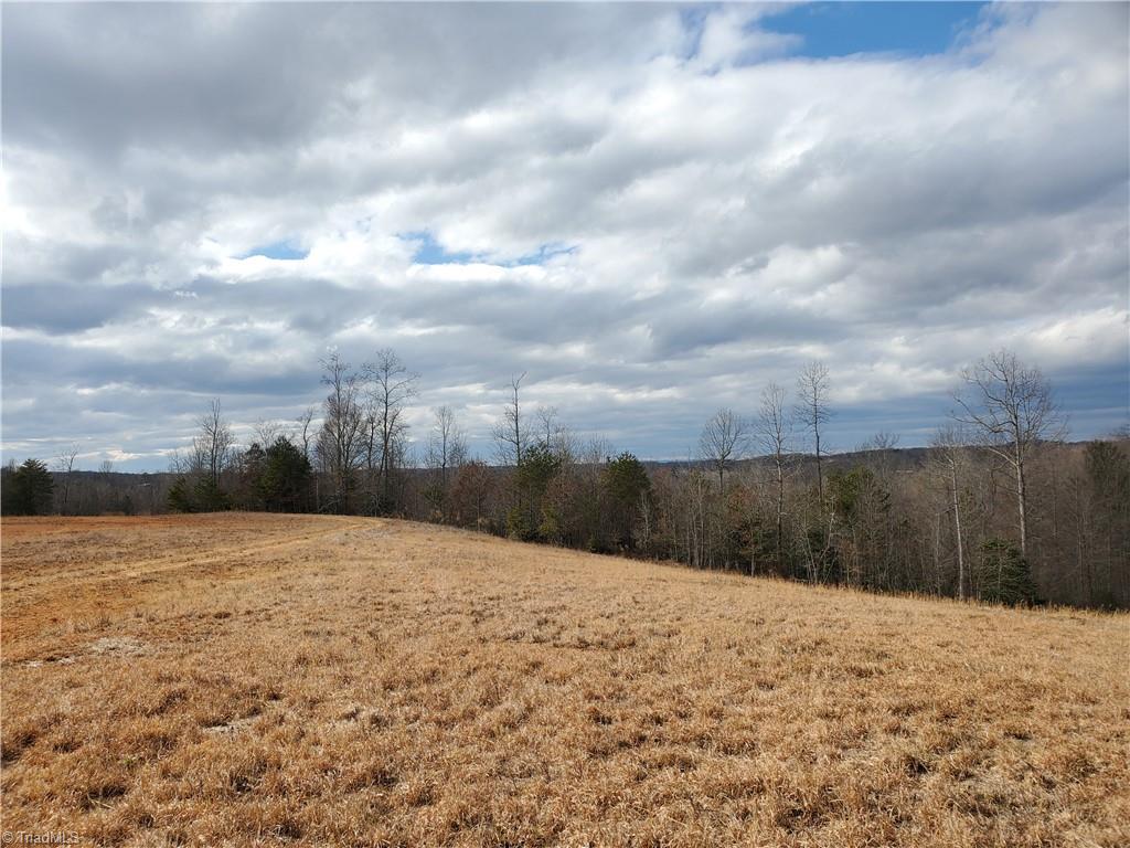 0 Eldora Road Ararat, NC 27007 - Photo 21 of 36 Gallery Image 21