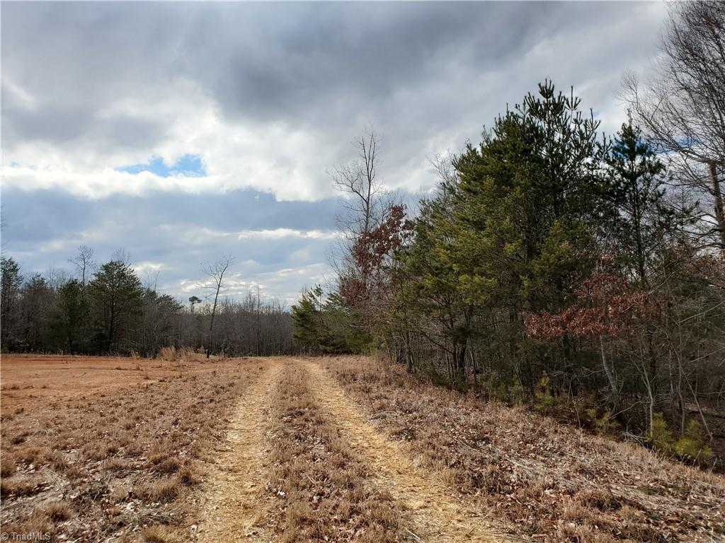 0 Eldora Road Ararat, NC 27007 - Photo 22 of 36 Gallery Image 22