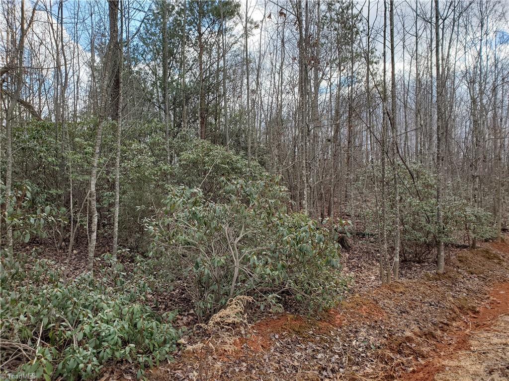 0 Eldora Road Ararat, NC 27007 - Photo 23 of 36 Gallery Image 23