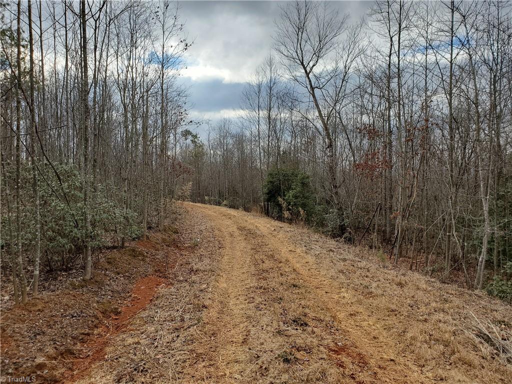 0 Eldora Road Ararat, NC 27007 - Photo 24 of 36 Gallery Image 24