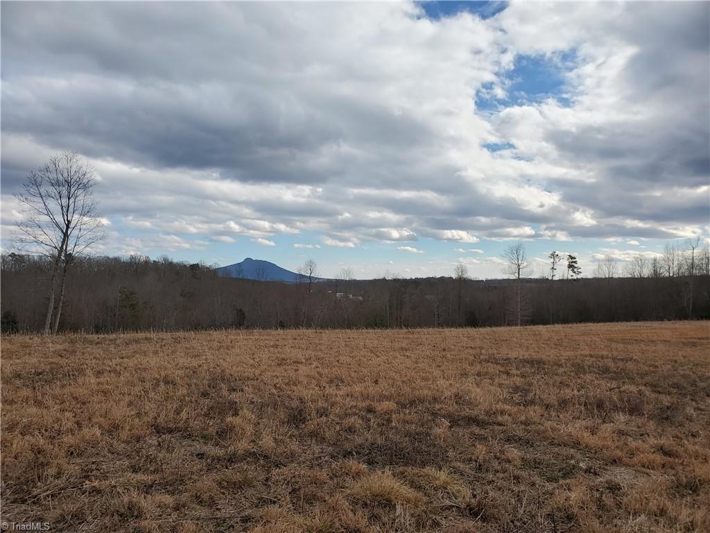 0 Eldora Road Ararat, NC 27007 - Photo 29 of 36 Gallery Image 29