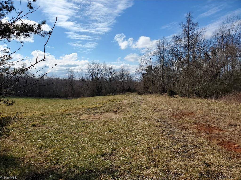0 Eldora Road Ararat, NC 27007 - Photo 7 of 36 Gallery Image 7