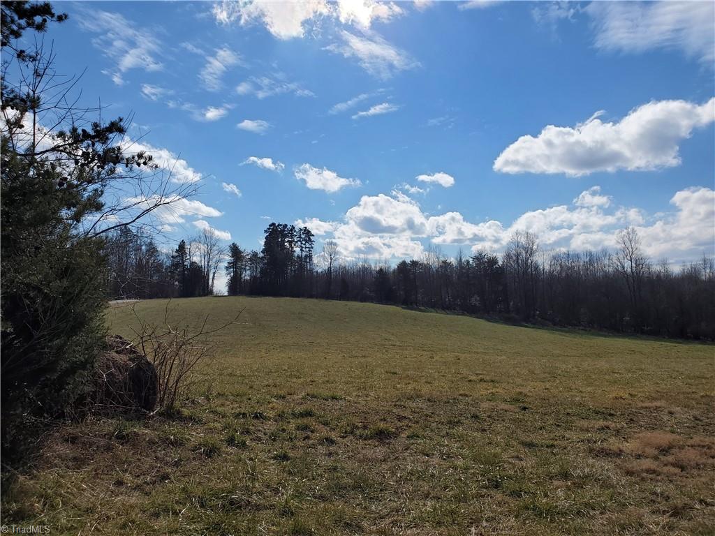 0 Eldora Road Ararat, NC 27007 - Photo 8 of 36 Gallery Image 8